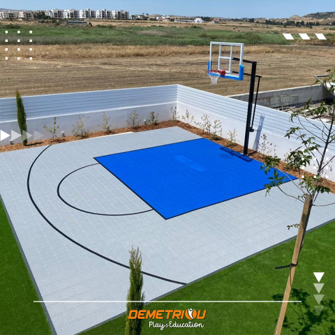 PRIVATE BASKETBALL COURT